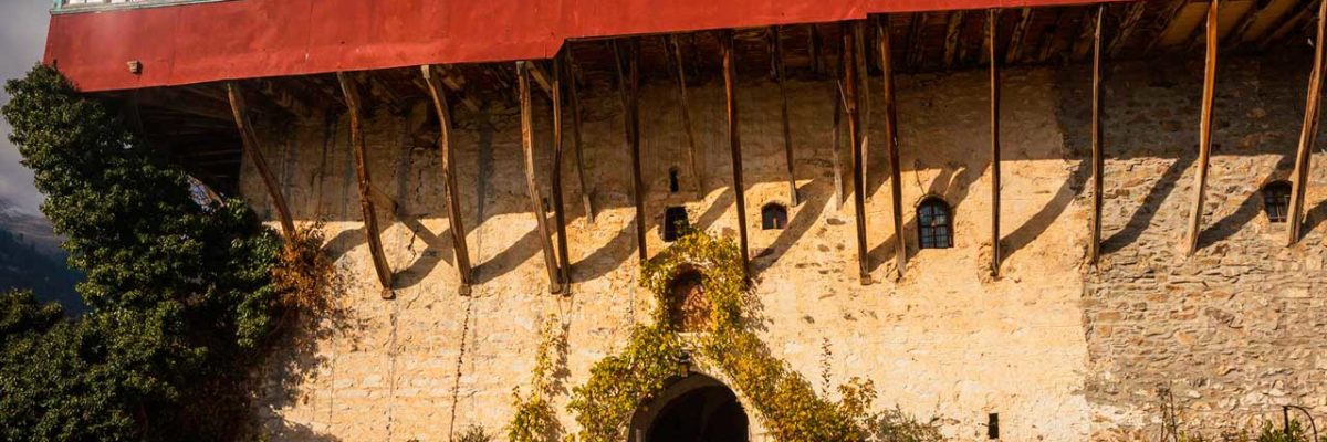 akvarum-2-3 Аквариум – Пальяни – монастырь Св. Георгия – Стиранос (фото 3)