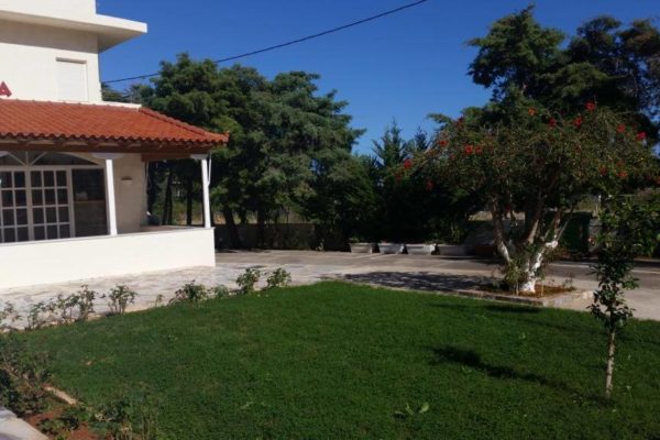 Crete Stalida (7) Отель в Сталиде (фото 7)