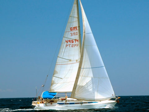 Dromor 37 (фото 2)