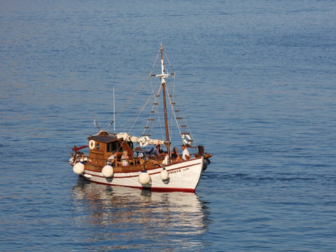 Odysseas (фото 2)