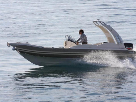 Orizon 650 (фото 2)