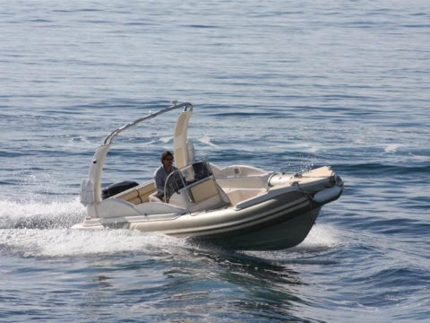 Orizon 650 (фото 4)