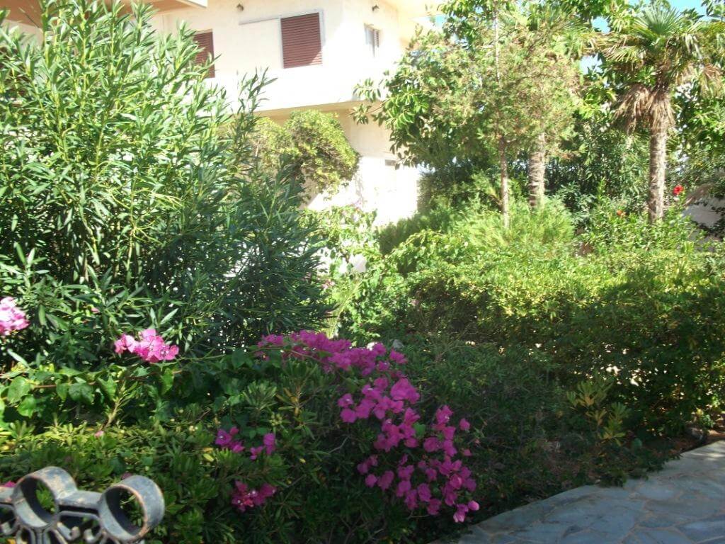 villa-v-guevese (2)